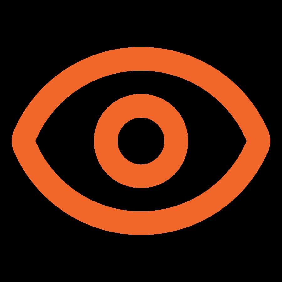 Vision Vision